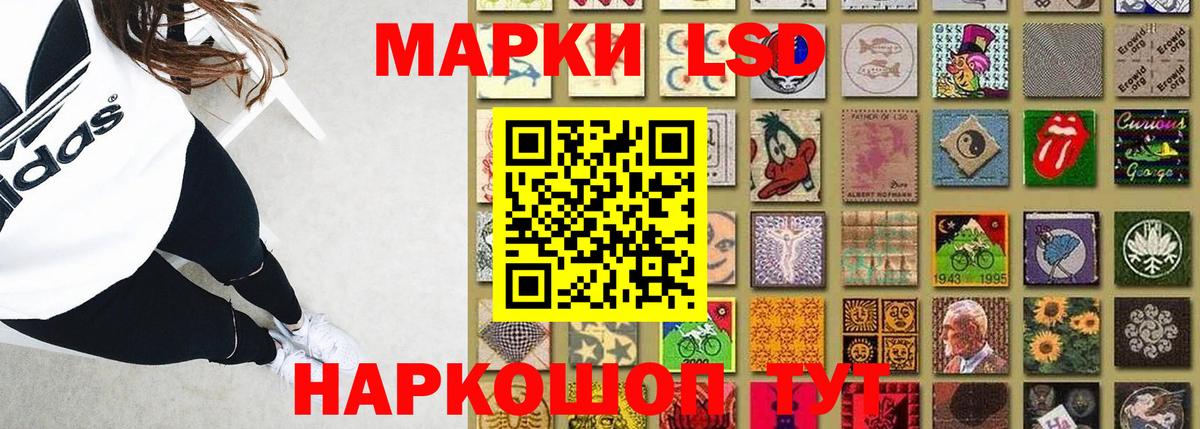 Камышлов  ЛСД экстази  Вход с VPN  Лсд 25 экстази кислота  Лсд 25 экстази ecstasy 