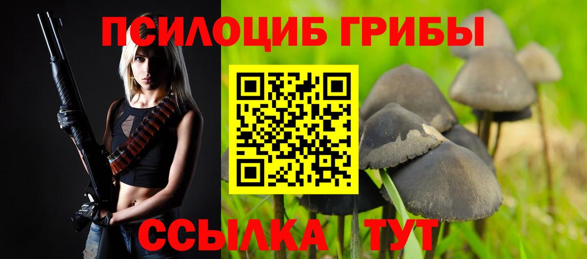 Камышлов  Псилоцибиновые грибы прущие грибы  Вход с VPN  Галлюциногенные грибы MAGIC MUSHROOMS 